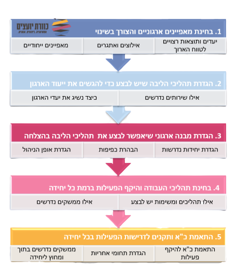 כוורת יועצים יעוץ ארגוני