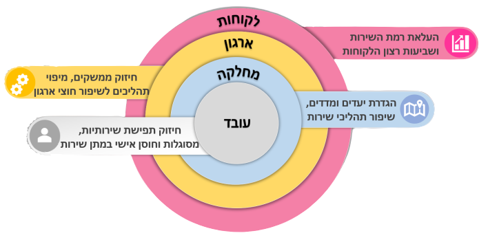מודל שירות כוורת יועצים יעץ ארגוני
